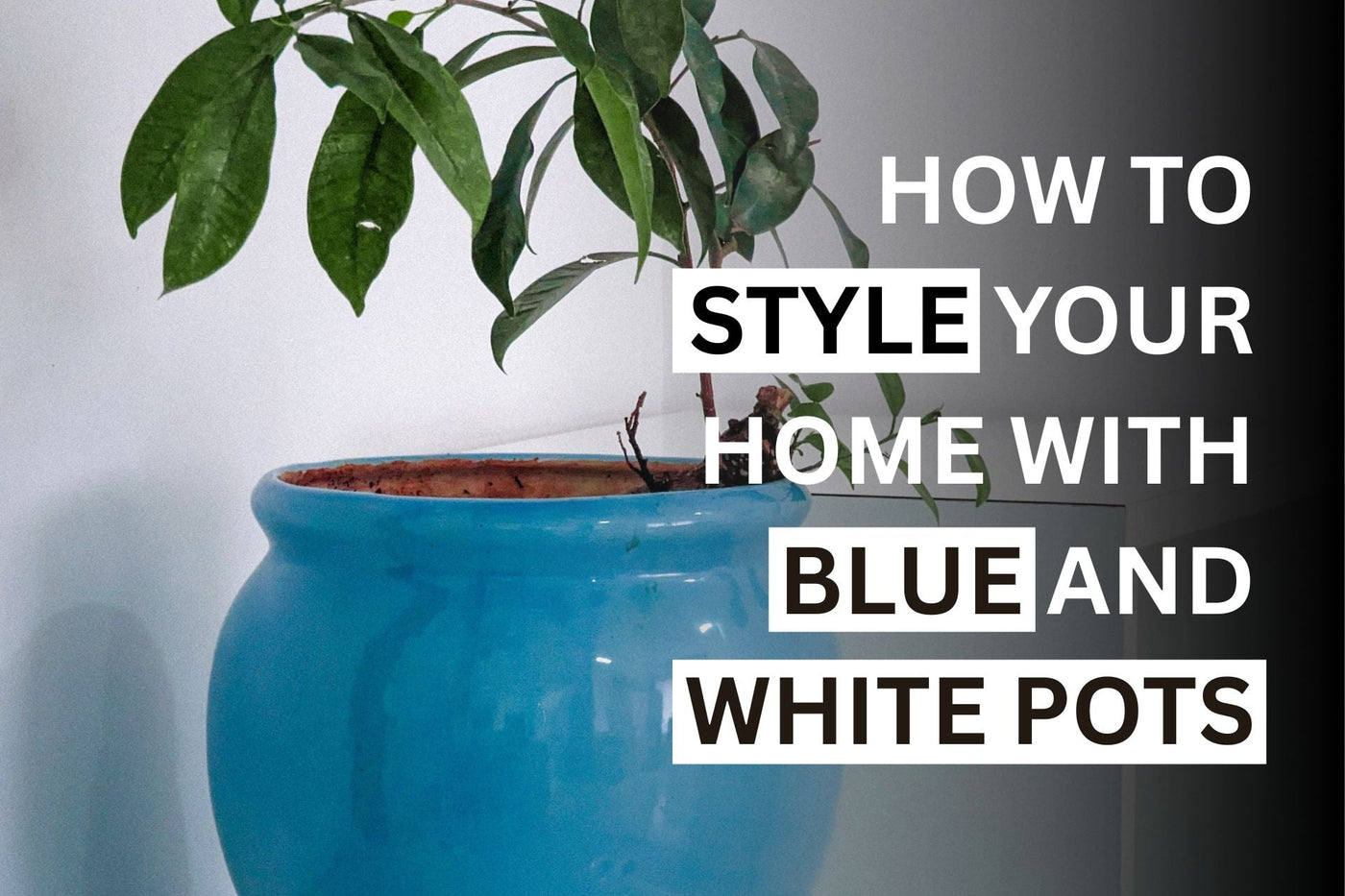How to Style Your Home With Blue and White Pots