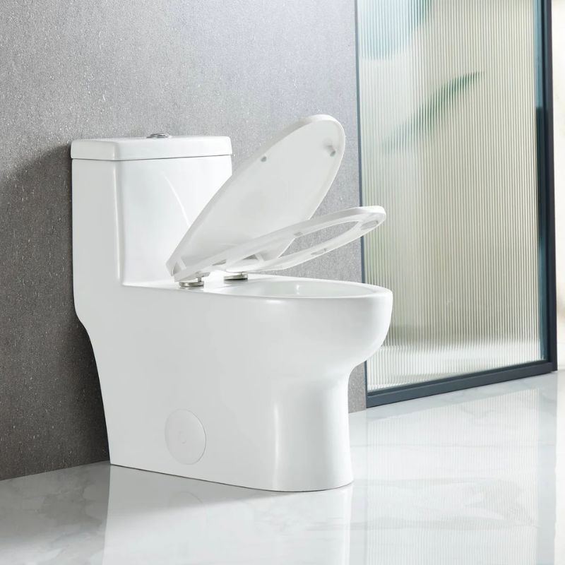 Blossom T9-01 Modern One-Piece Dual Flush Toilet with Tornado Flush System - Quality Home Distribution