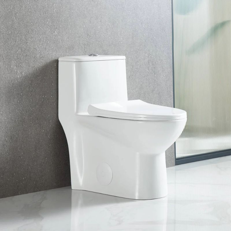 Blossom T9-02 Modern One-Piece Dual Flush Toilet with Self-Cleaning Nanoglaze - Quality Home Distribution