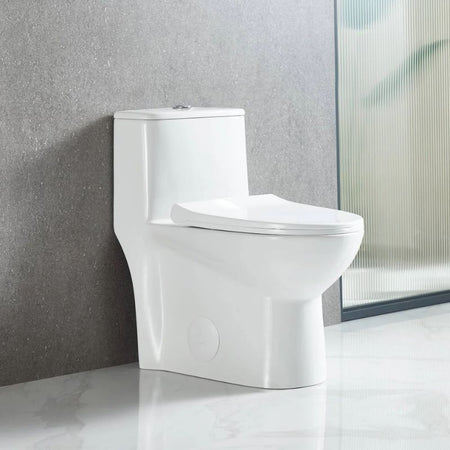 Blossom T9-02 Modern One-Piece Dual Flush Toilet with Self-Cleaning Nanoglaze - Quality Home Distribution