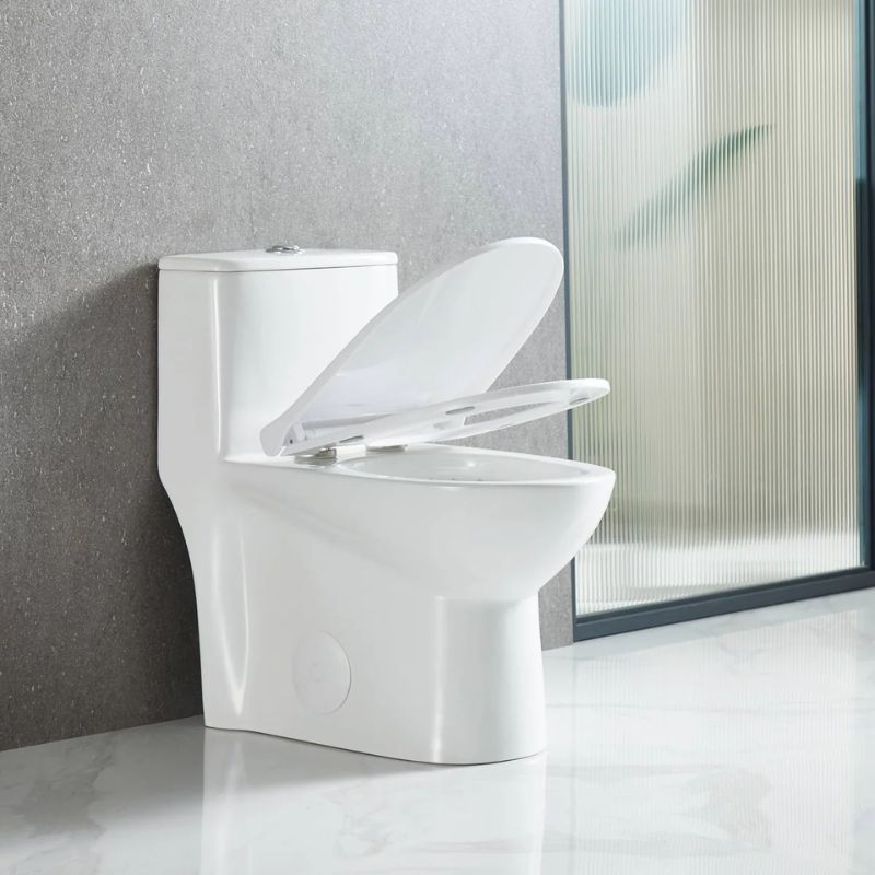 Blossom T9-02 Modern One-Piece Dual Flush Toilet with Self-Cleaning Nanoglaze - Quality Home Distribution