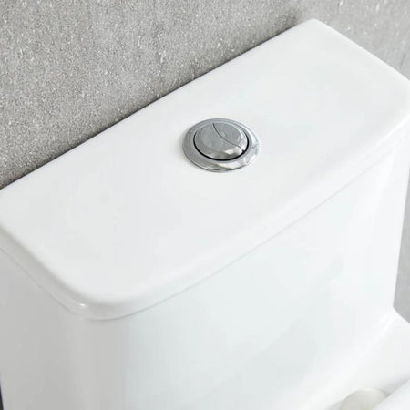 Blossom T9-02 Modern One-Piece Dual Flush Toilet with Self-Cleaning Nanoglaze - Quality Home Distribution