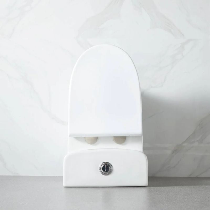 Blossom T9-02 Modern One-Piece Dual Flush Toilet with Self-Cleaning Nanoglaze - Quality Home Distribution