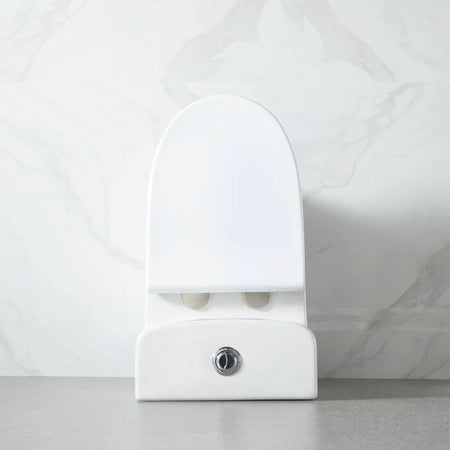 Blossom T9-02 Modern One-Piece Dual Flush Toilet with Self-Cleaning Nanoglaze - Quality Home Distribution