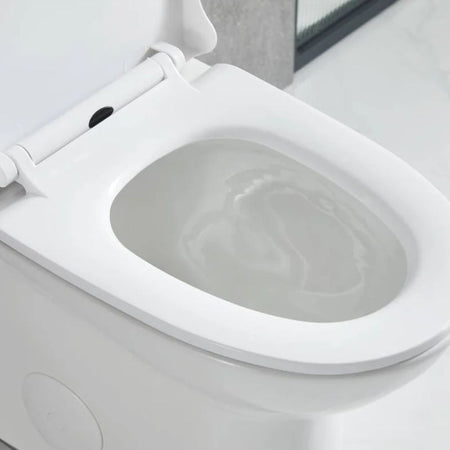 Blossom T9-02 Modern One-Piece Dual Flush Toilet with Self-Cleaning Nanoglaze - Quality Home Distribution