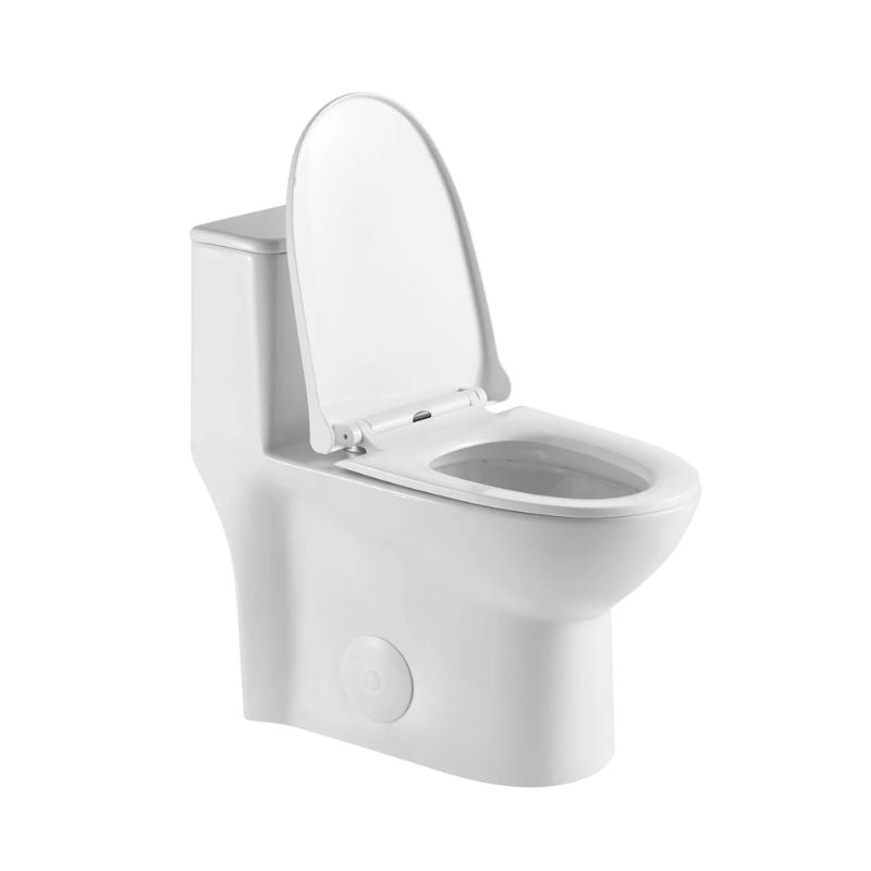 Blossom T9-02 Modern One-Piece Dual Flush Toilet with Self-Cleaning Nanoglaze - Quality Home Distribution