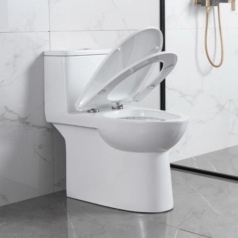 Blossom T9-03 Modern One-Piece Dual Flush Toilet with Tornado Flush & Nano-Glaze - Quality Home Distribution