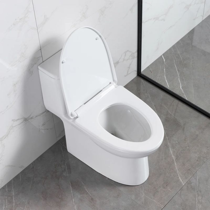Blossom T9-03 Modern One-Piece Dual Flush Toilet with Tornado Flush & Nano-Glaze - Quality Home Distribution