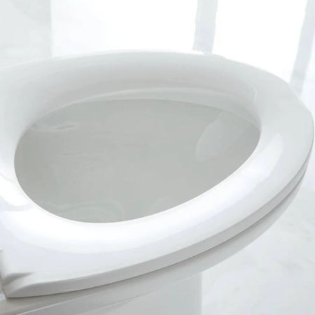 Blossom T9-04 Modern One-Piece Dual Flush Toilet with Tornado Flush & Skirted Design - Quality Home Distribution