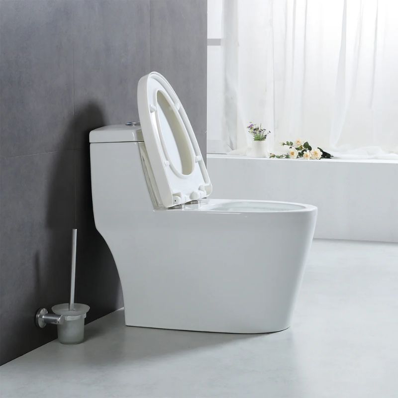 Blossom T9-05 Modern One-Piece Dual Cyclone Flush Toilet with Nano-Glaze - Quality Home Distribution