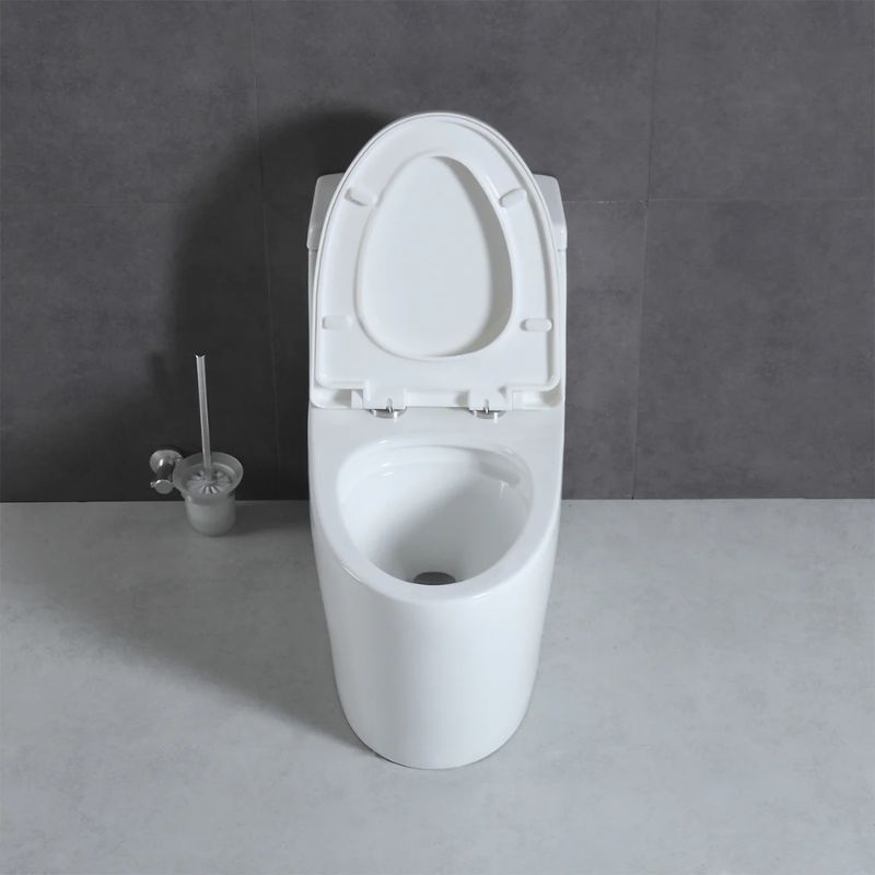 Blossom T9-05 Modern One-Piece Dual Cyclone Flush Toilet with Nano-Glaze - Quality Home Distribution