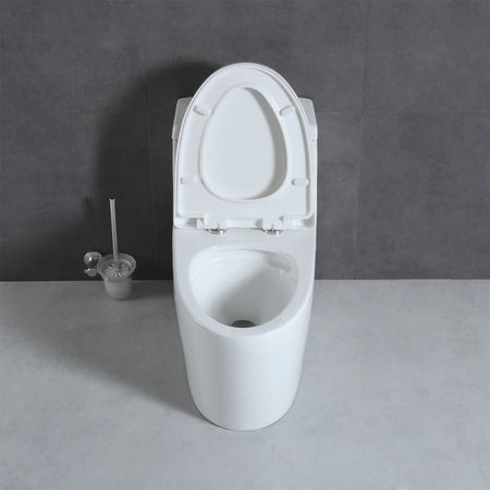 Blossom T9-05 Modern One-Piece Dual Cyclone Flush Toilet with Nano-Glaze - Quality Home Distribution