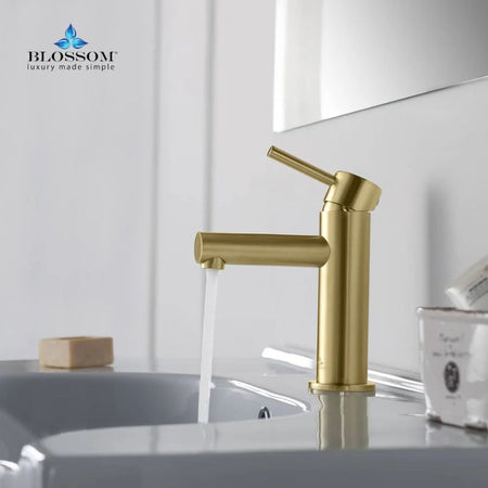 Blossom F01-116 Single Handle Bathroom Vanity Faucet - Quality Home Distribution