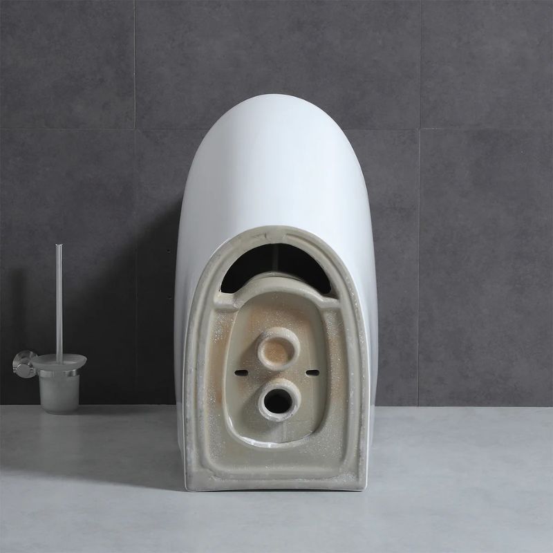 Blossom T9-05 Modern One-Piece Dual Cyclone Flush Toilet with Nano-Glaze - Quality Home Distribution
