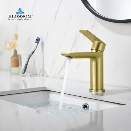 Blossom F1-102 Single Handle Bathroom Vanity Faucet - Quality Home Distribution