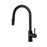 Blossom F01-206 Single Handle Pull-Down Kitchen Faucet - Quality Home Distribution
