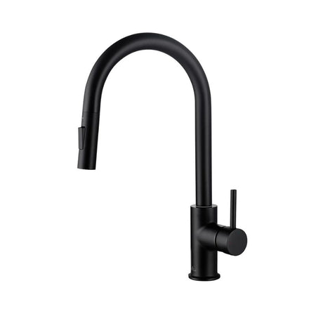 Blossom F01-206 Single Handle Pull-Down Kitchen Faucet - Quality Home Distribution