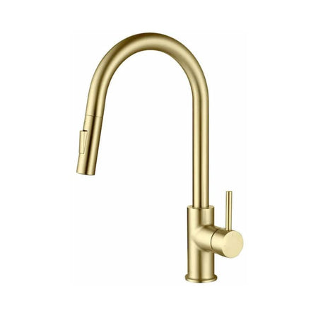 Blossom F01-206 Single Handle Pull-Down Kitchen Faucet - Quality Home Distribution