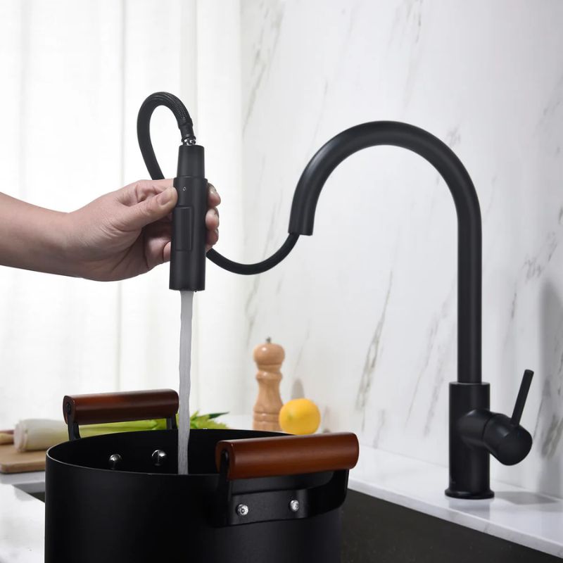 Blossom F01-206 Single Handle Pull-Down Kitchen Faucet - Quality Home Distribution