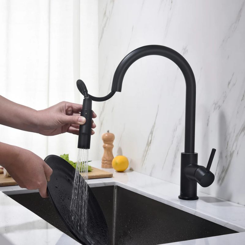 Blossom F01-206 Single Handle Pull-Down Kitchen Faucet - Quality Home Distribution