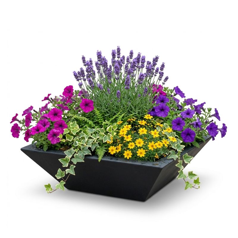 Archpot Geo Square Low Bowl Planter - Quality Home Distribution
