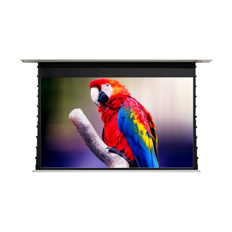 EluneVision Reference Studio 4K AudioWeave Motorized In-Ceiling Tab-Tensioned Screen | 16:9 HD Format - Quality Home Distribution