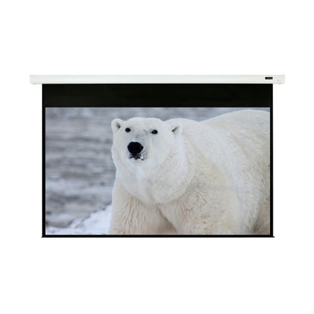 EluneVision Luna Motorized Projector Screen | 16:10 Digital Display Format - Quality Home Distribution