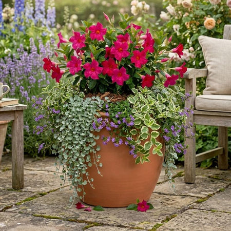 Archpot Asian Storage Jar Planter - Quality Home Distribution