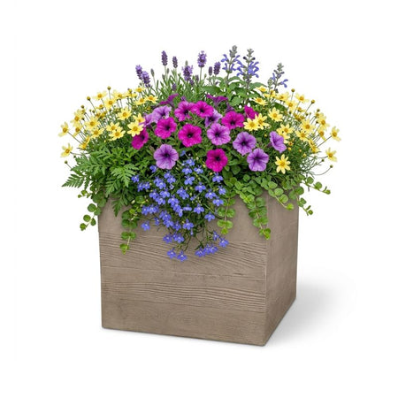 Archpot Aspen Square Planter - Quality Home Distribution