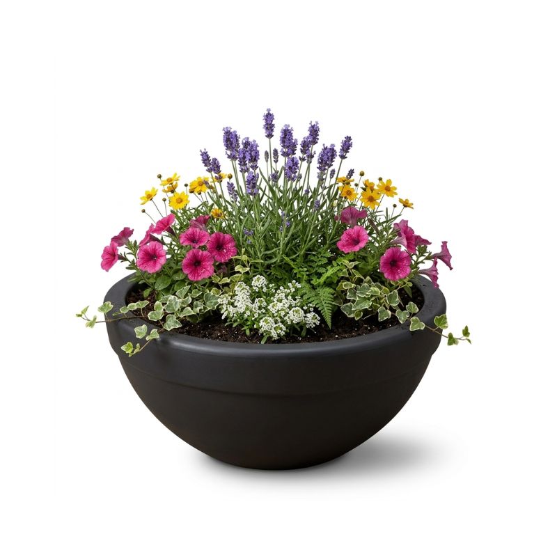 Archpot Executive Low Bowl Planter - Quality Home Distribution