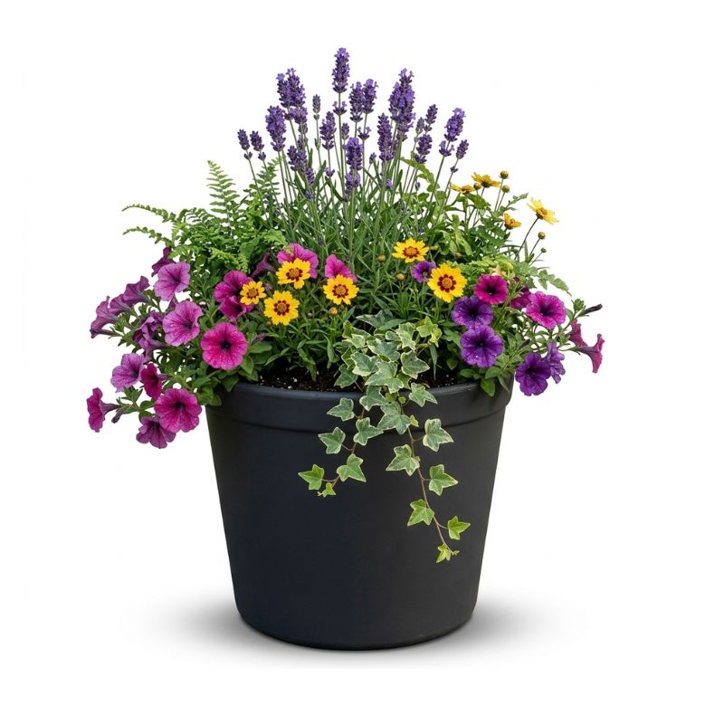 Archpot Executive Planter - Quality Home Distribution
