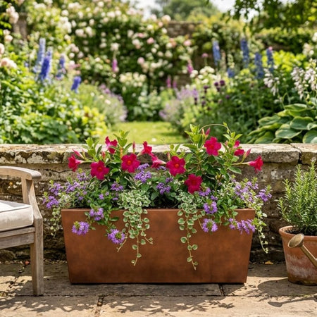 Archpot Geo Rectangle Low Planter - Quality Home Distribution