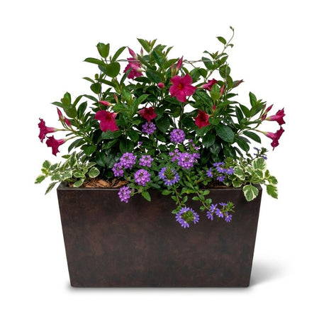 Archpot Geo Rectangle Planter - Quality Home Distribution
