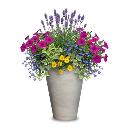 Archpot Geo Round Vase Planter - Quality Home Distribution