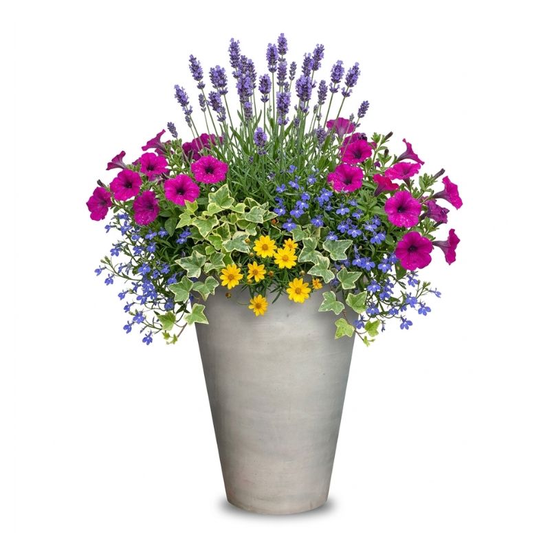 Archpot Geo Round Vase Planter - Quality Home Distribution