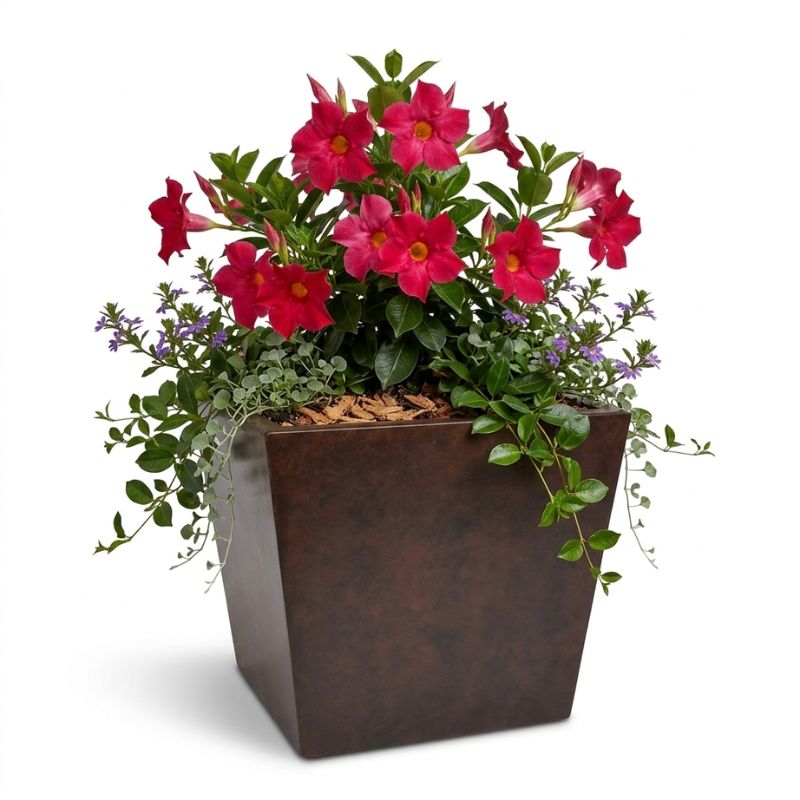 Archpot Geo Square Planter - Quality Home Distribution