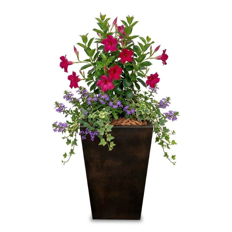 Archpot Geo Square Vase - Quality Home Distribution
