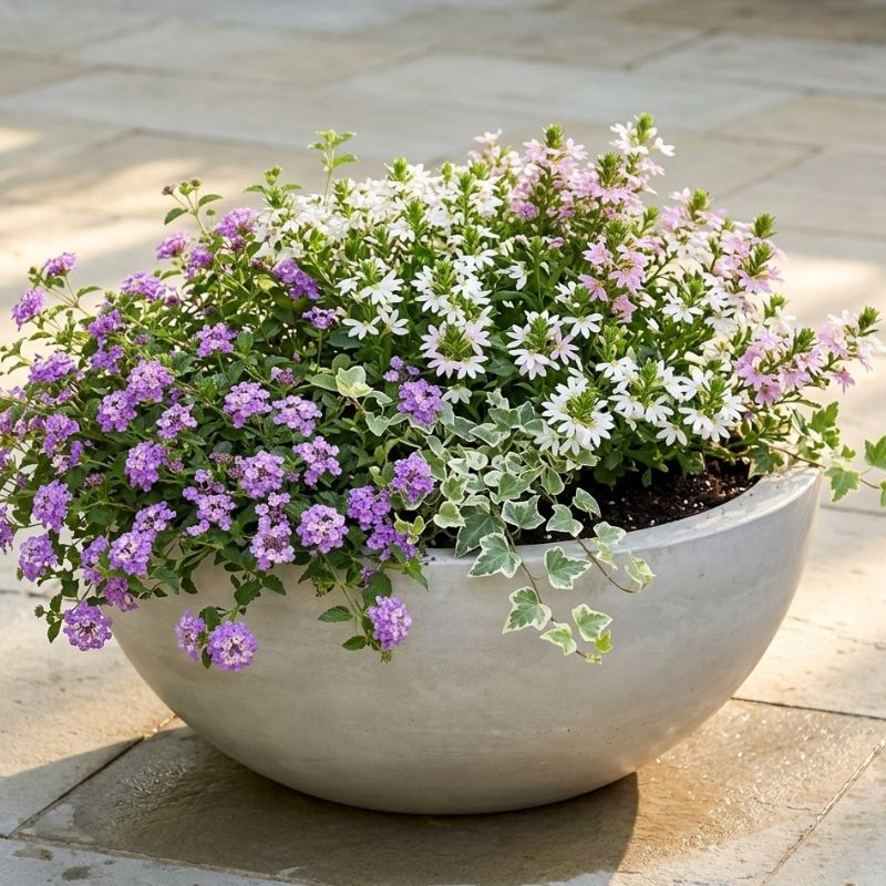 Archpot Legacy Round Low Bowl - Quality 
Home Distribution