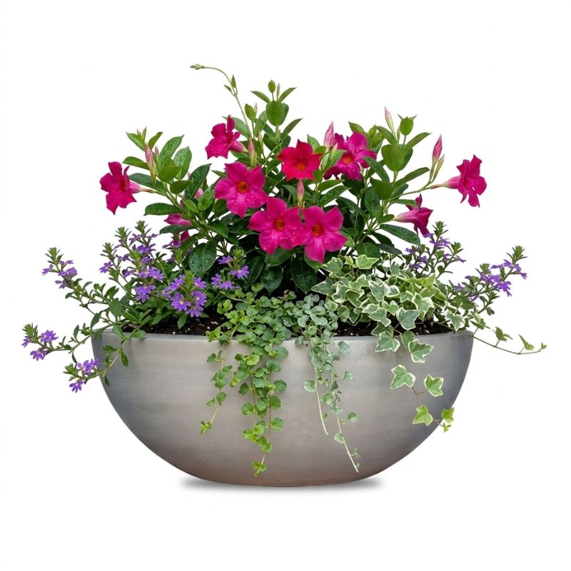 Archpot Legacy Round Low Bowl - Quality 
Home Distribution