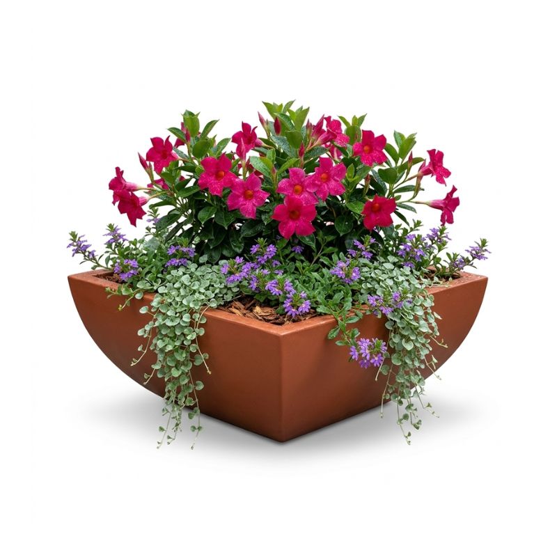 Archpot Legacy Square Low Bowl - Quality Home Distribution