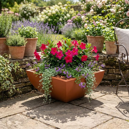 Archpot Legacy Square Low Bowl - Quality Home Distribution