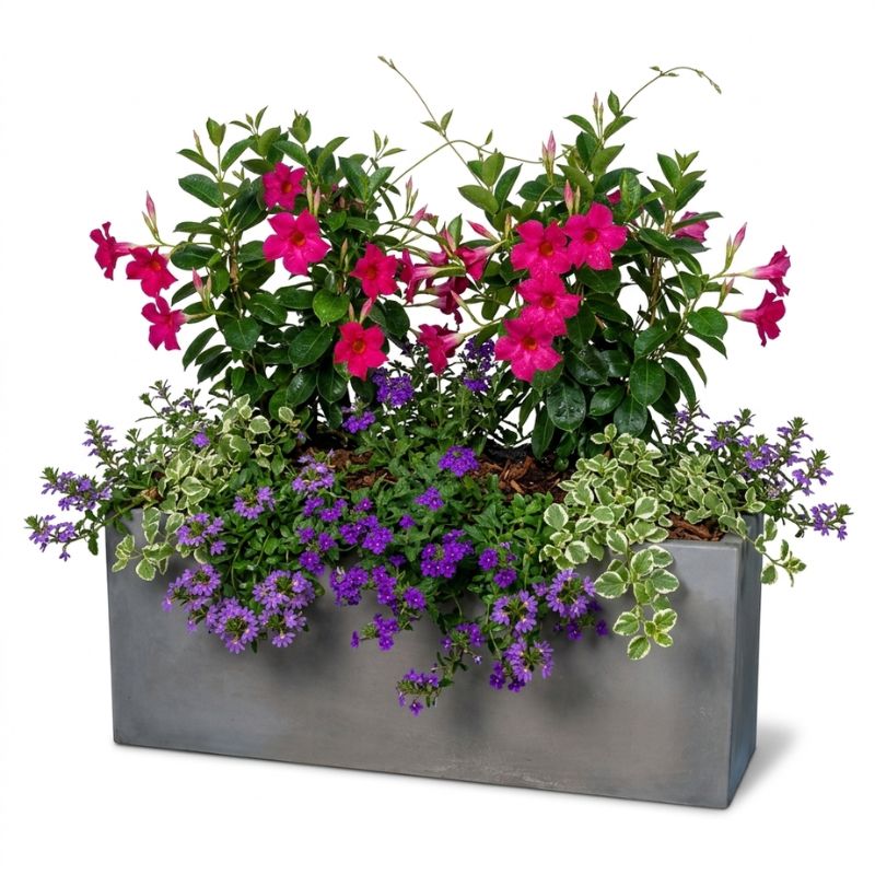 Archpot Manhattan Rectangle Low Planter - Quality Home Distribution