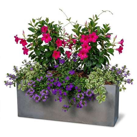 Archpot Manhattan Rectangle Low Planter - Quality Home Distribution
