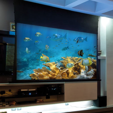 EluneVision Reference Studio 4K AudioWeave Motorized Tab-Tensioned Screen | 16:9 HD Format - Quality Home Distribution
