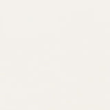American Olean Color Story Wall Matte Designer White Ceramic Tile