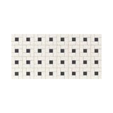 American Olean Unglazed Mosaics Ice White/Black Porcelain Tile - Quality Home Distribution