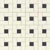 American Olean Unglazed Mosaics Biscuit/Black Dot Porcelain Tile