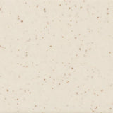 American Olean Unglazed Mosaics Biscuit Speckled Porcelain Tile