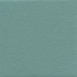 American Olean Unglazed Mosaics Fresh Porcelain Tile