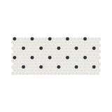 American Olean Unglazed Mosaics Ice White/Black Tile - Penny Rounds